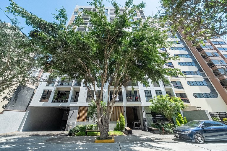 Modern Haven in Miraflores